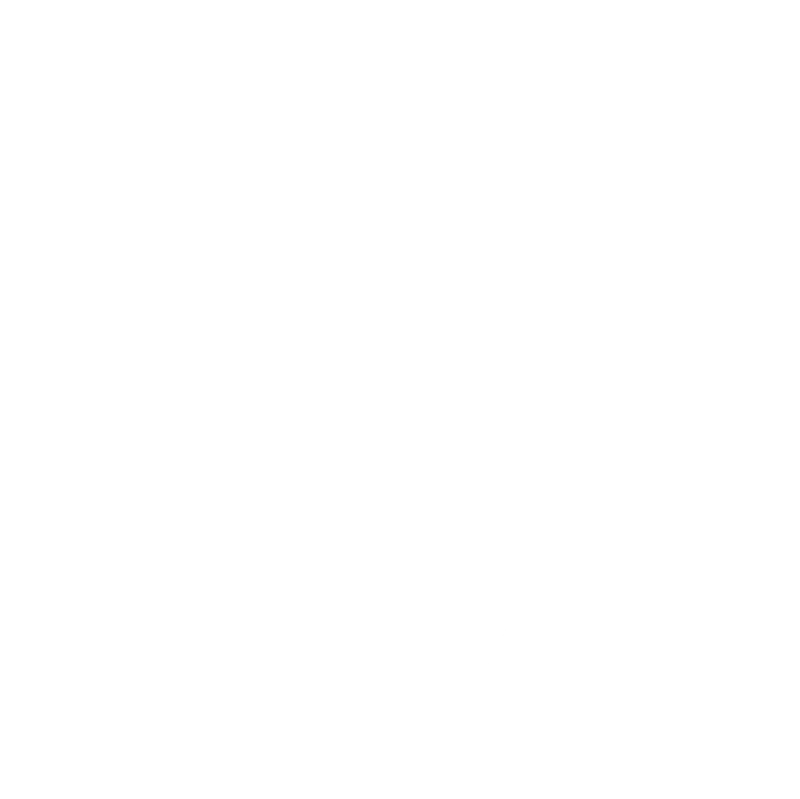 berdinwebdesign.it